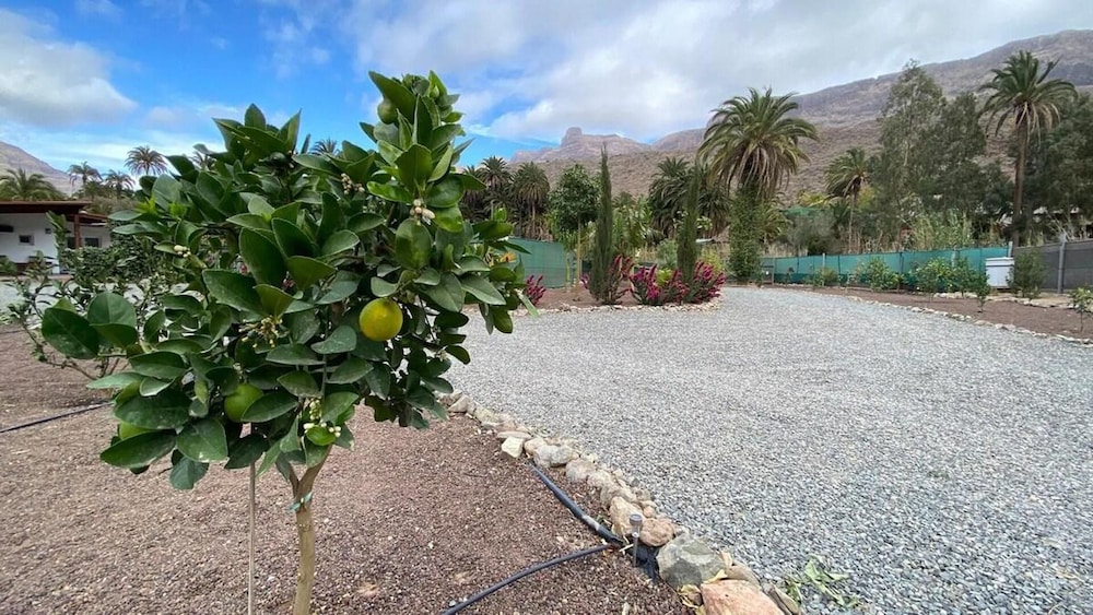 Large Country House Near Maspalomas & Fataga