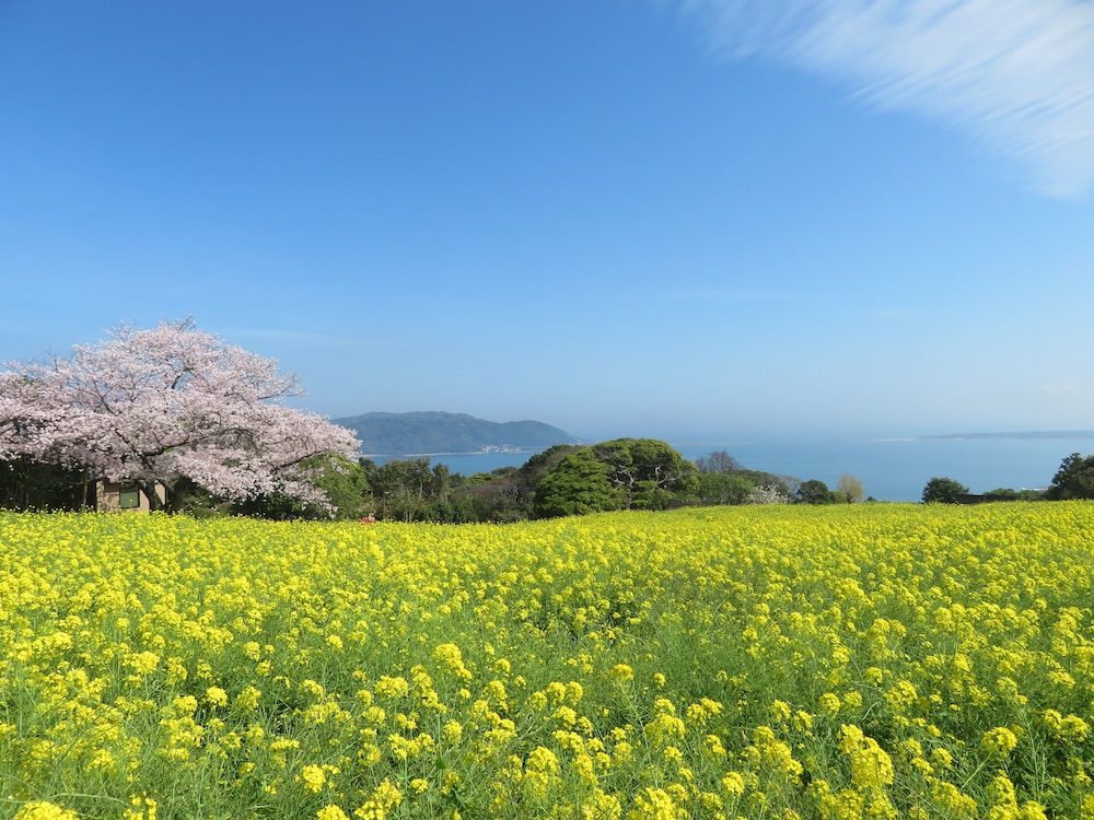 Nokonoshima Island Park Villa Sakimori