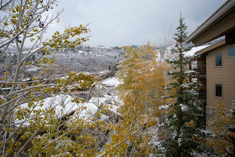 Trail's End Lodge at Deer Valley Resort - Four Bedroom Residence with Spa #505 4 Condo