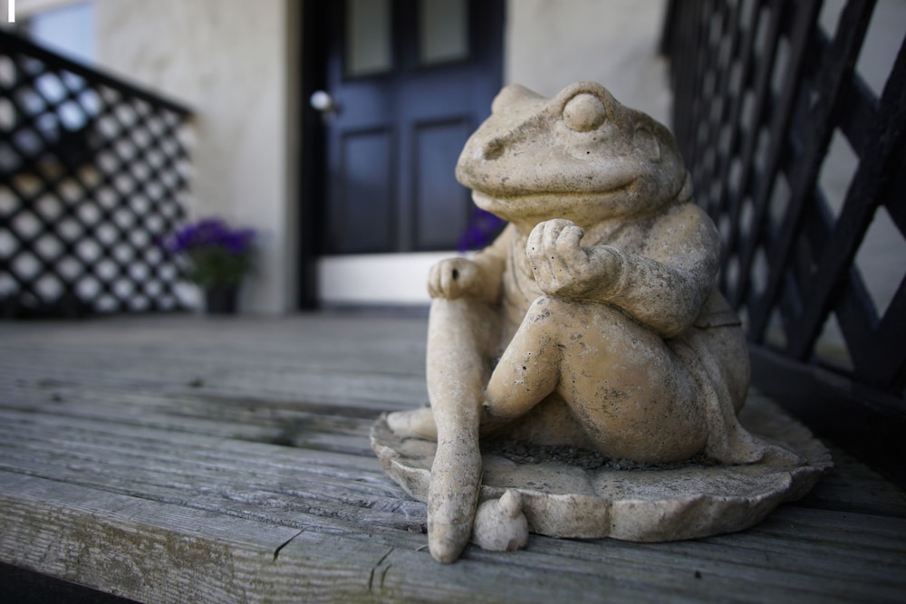 Toadhall Rooms