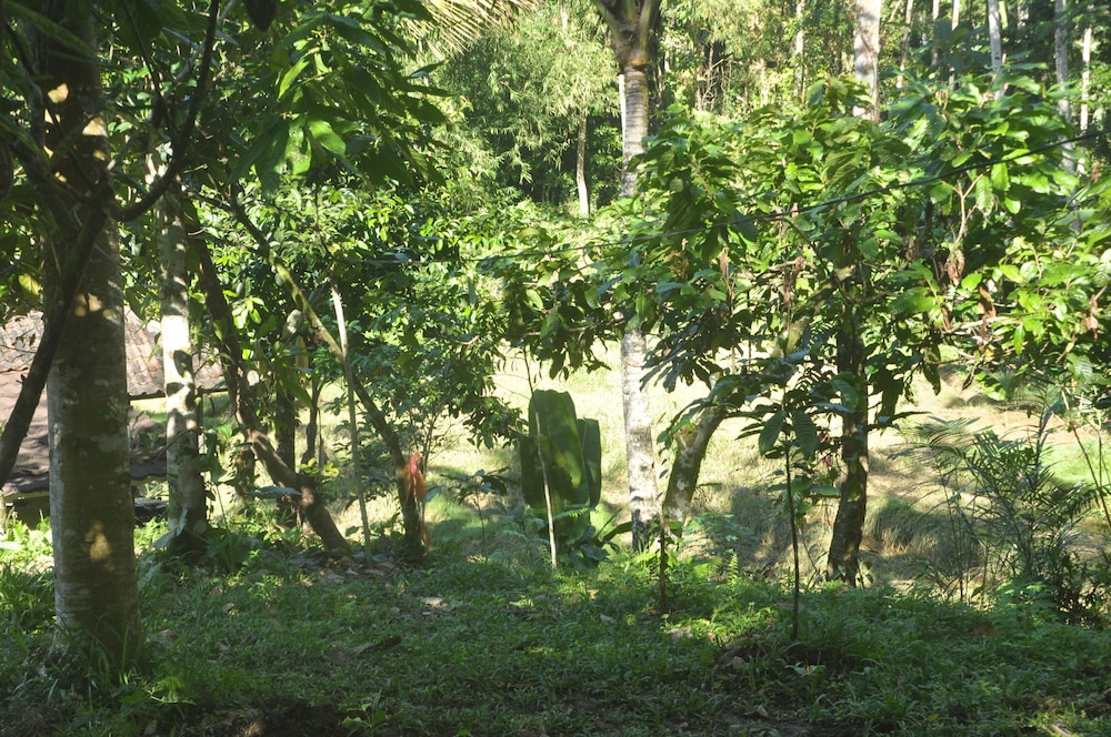 Tepi Sawah Lodge