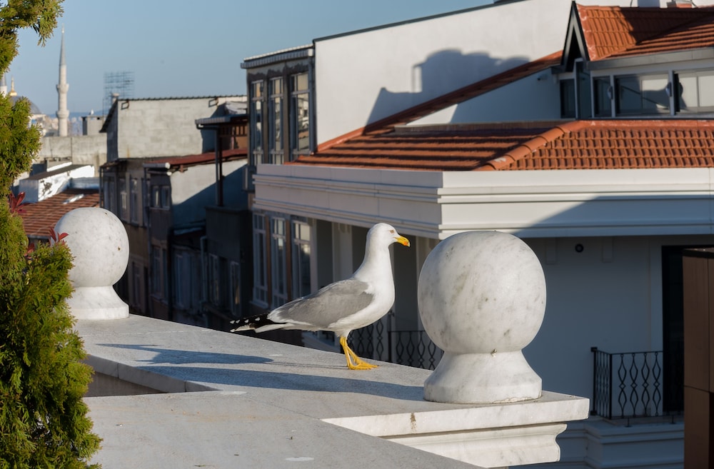 Bizim Otel - Image 8