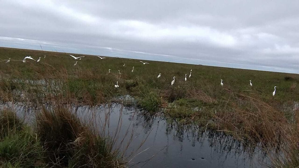 Wild Wetlands Lodge