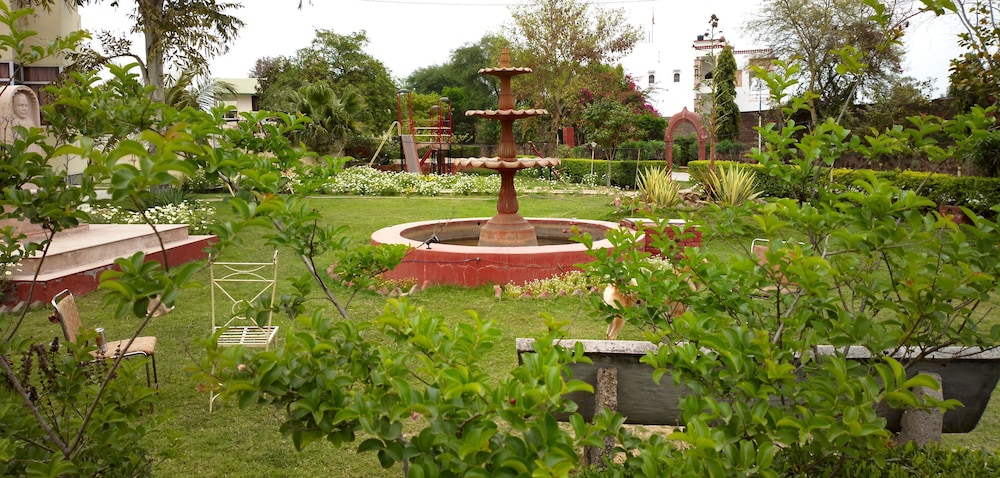 Photo 11