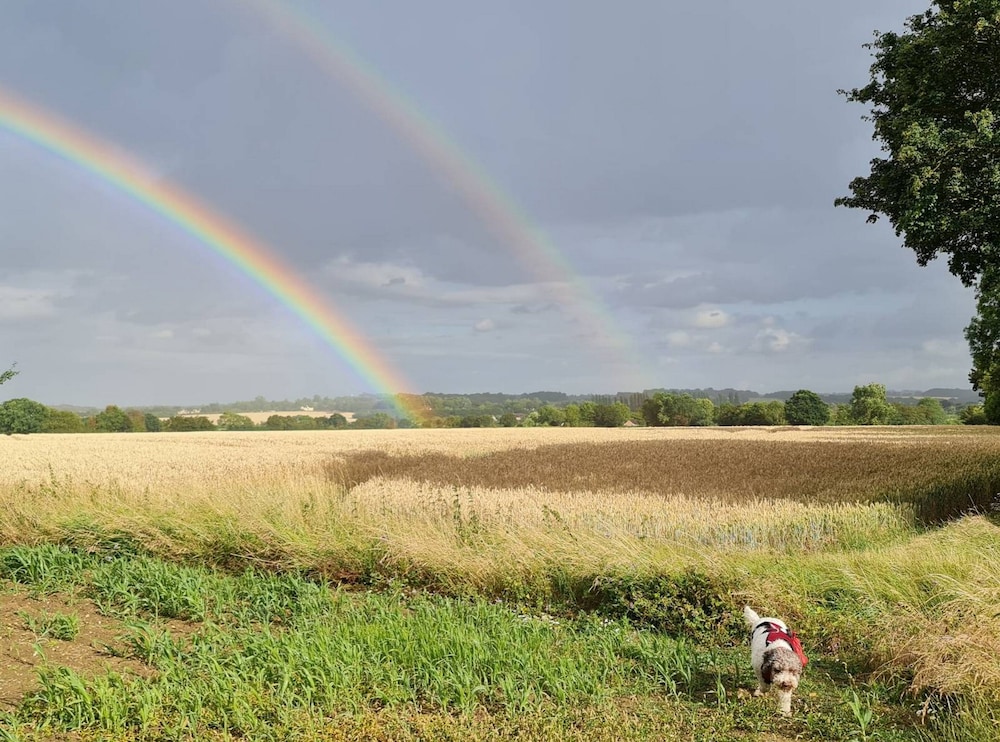 Picturesque Family Hideaway Chipping Ongar Essex