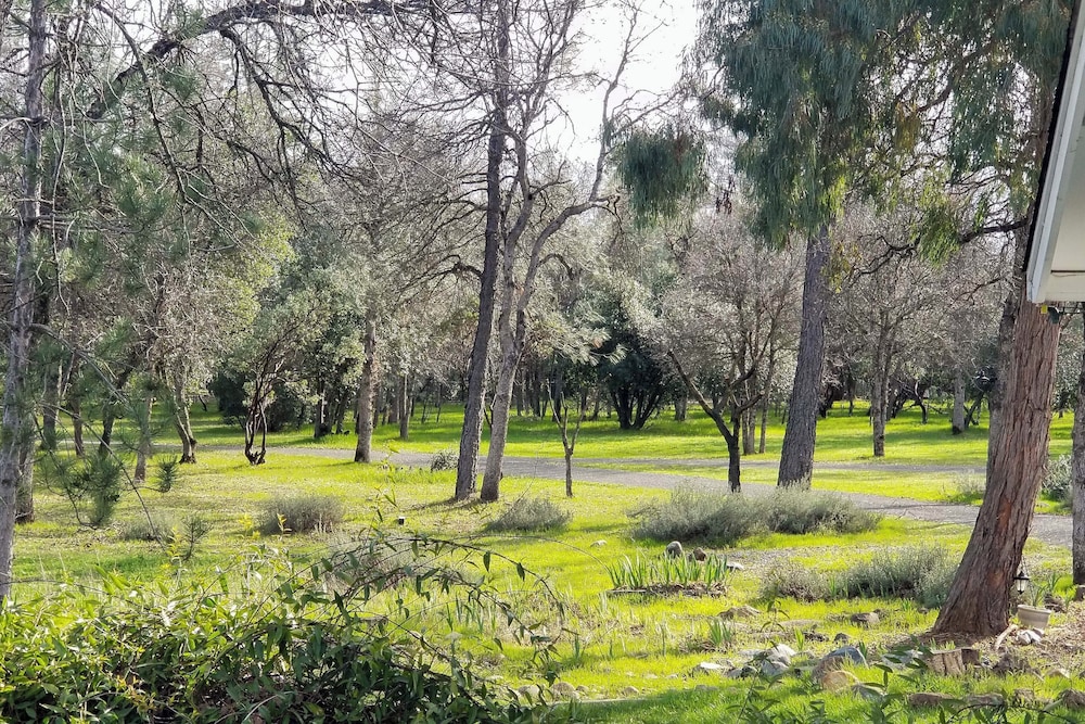 10 Mi to Redding: Serene Escape w/ Spacious Yard!