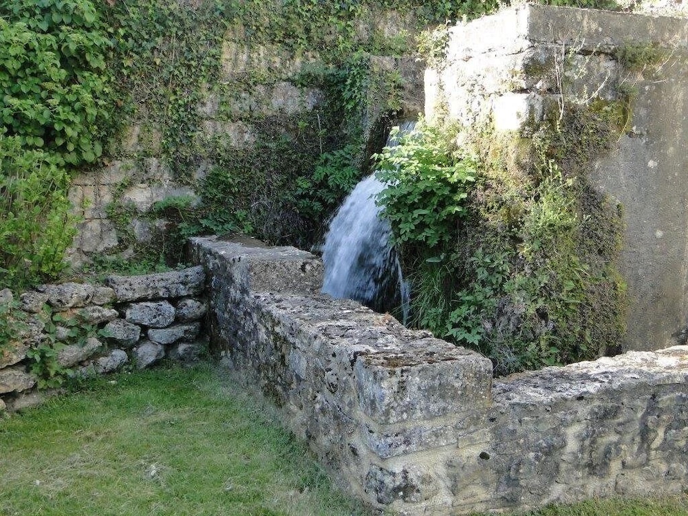 Photo 54
