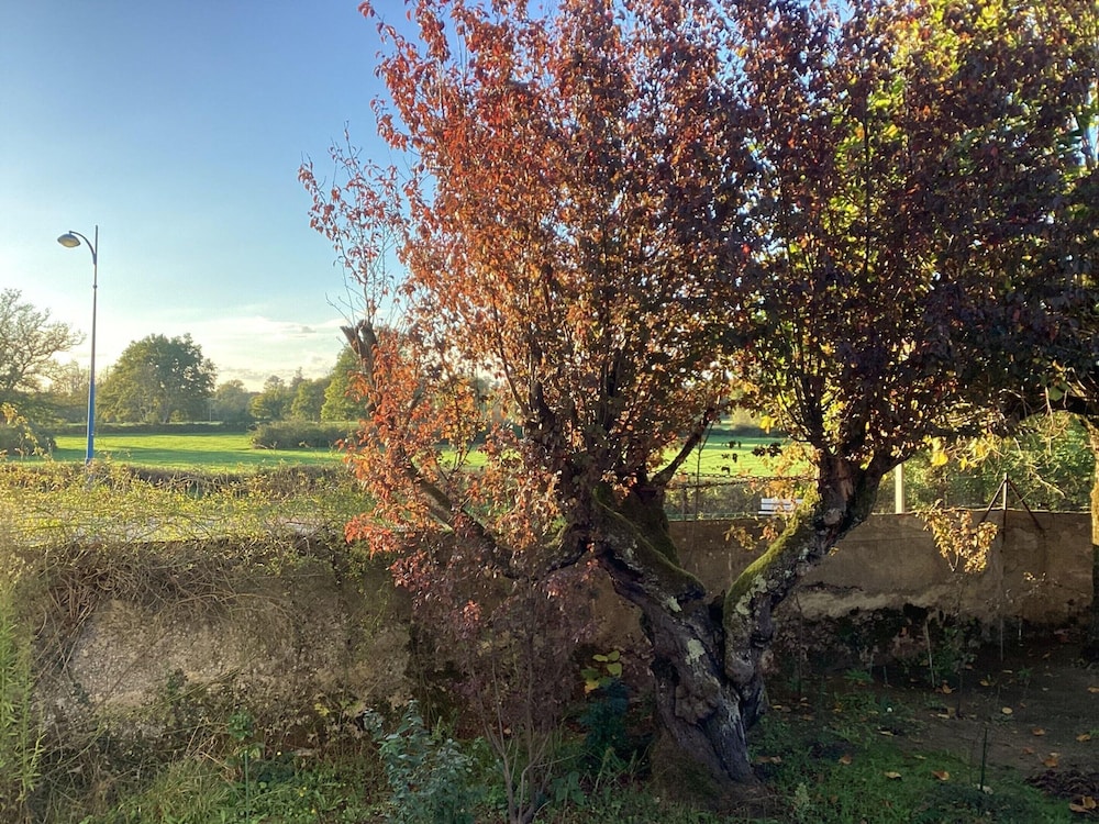 Charming Home by River Allier