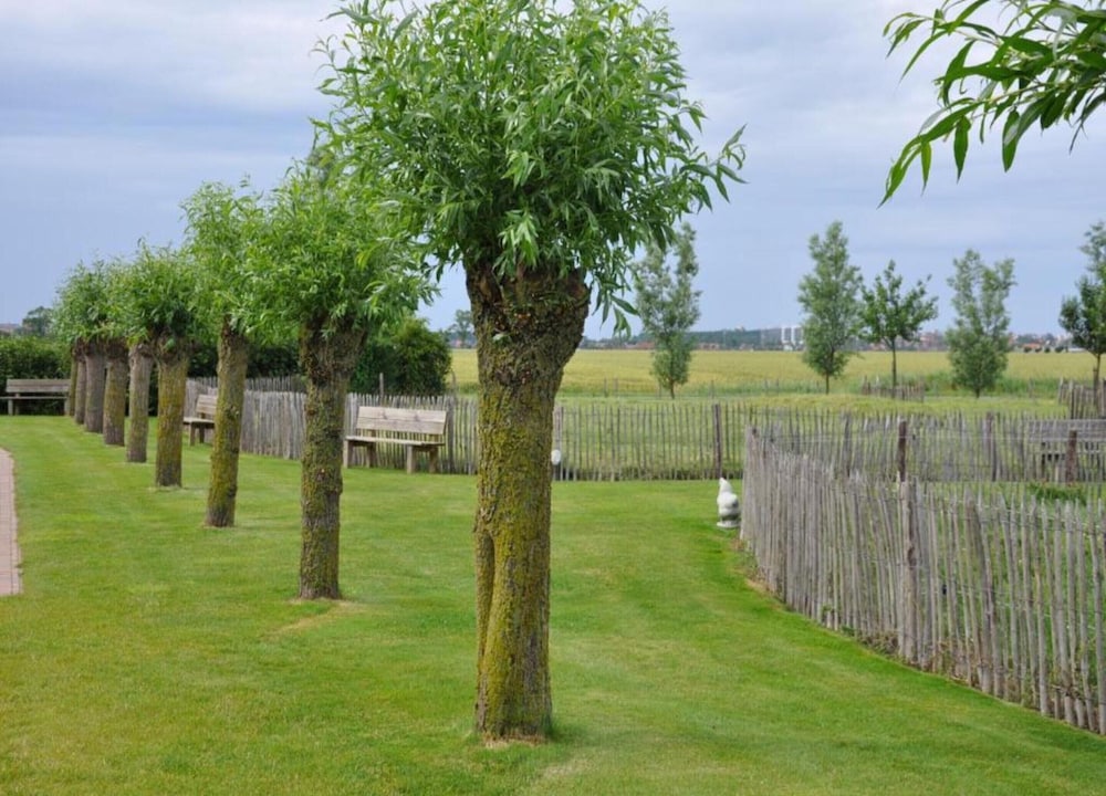 Apartment Knokke-heist With Sea View