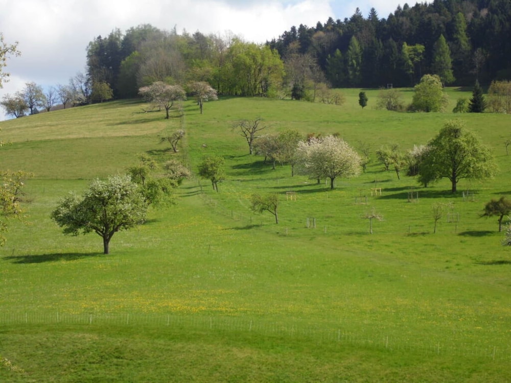 Am Reichenbach Modern Retreat