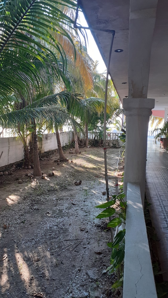 Flamingo Guest House Celestún