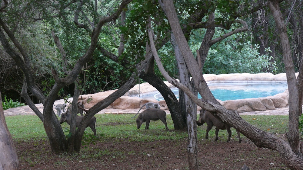 Baluleni Safari Lodge