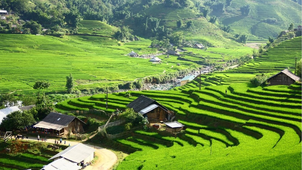 Zizi Homestay and Trekking - Hostel view 2