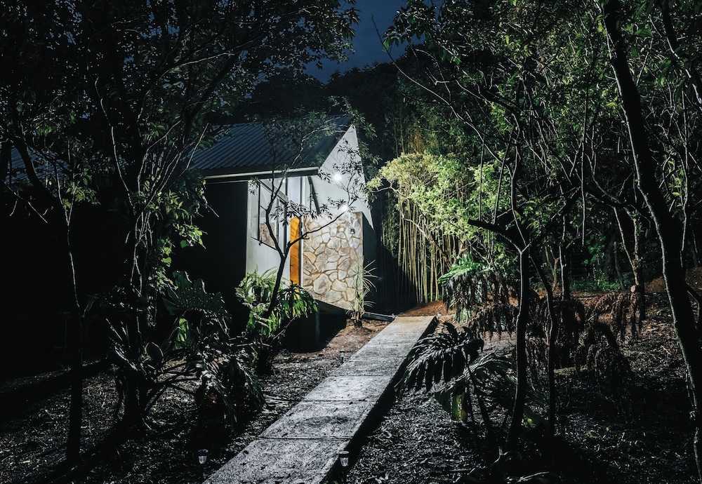Floresta Monteverde
