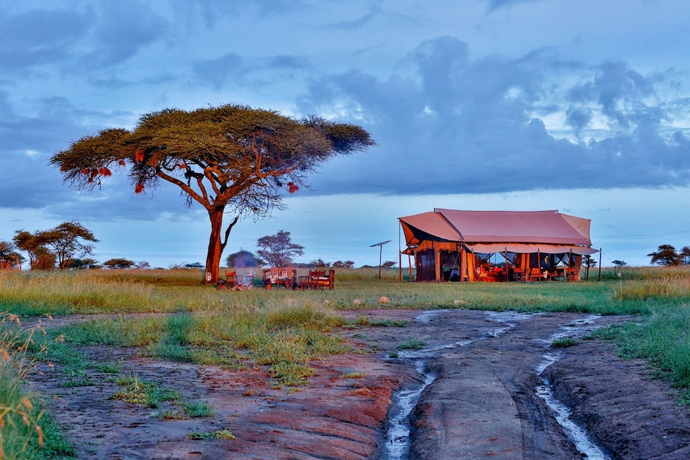 Pumzika Luxury Safari Camp - East Africa Camps