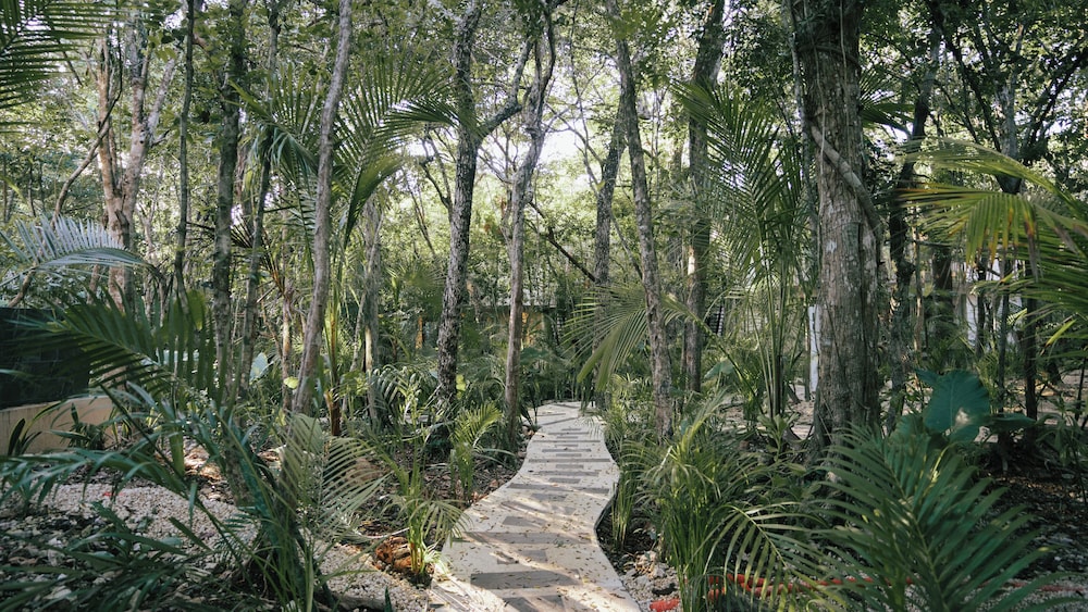 Tulum Jungle Villa Aire