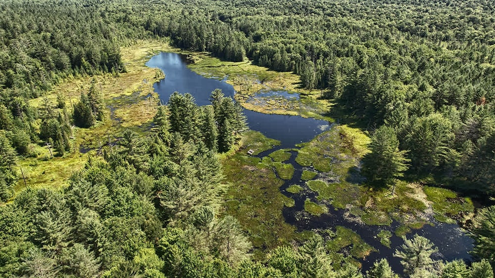 A Secluded Cabin on Your own Prvt Pond Serenity