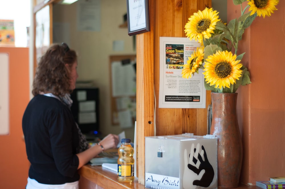 A Sunflower Stop - Hostel view 2