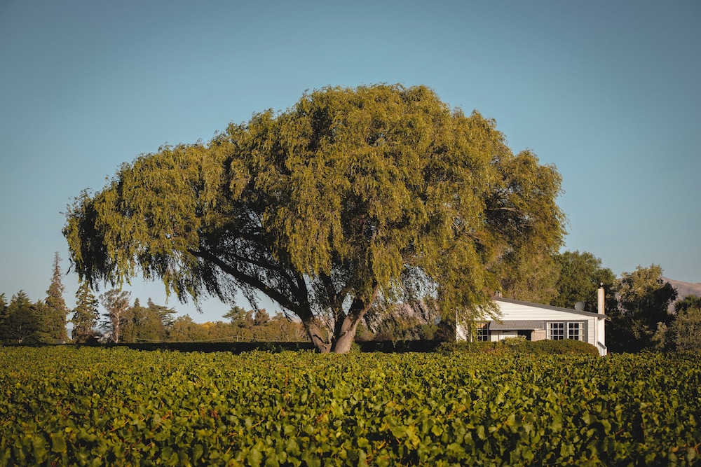 St Leonards Vineyard Cottages