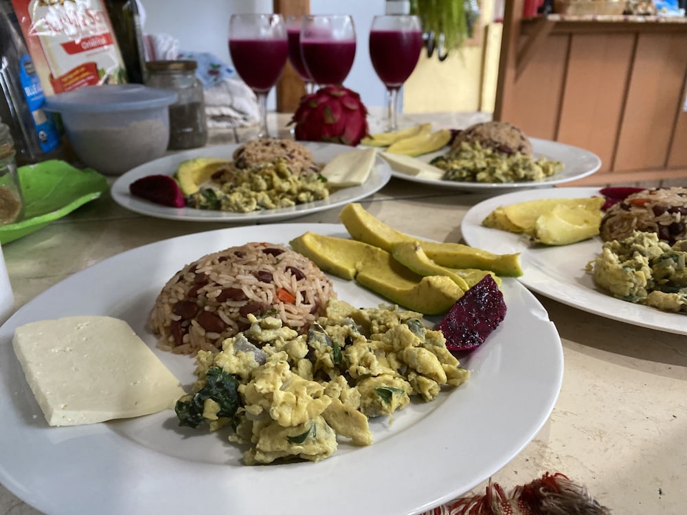 Birds & Breakfast