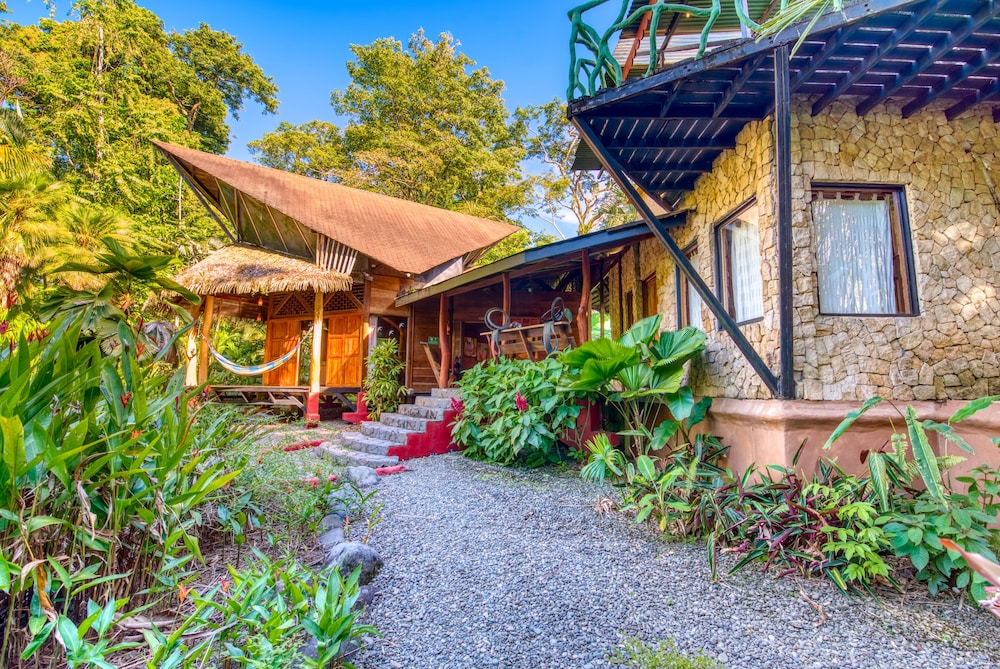 Tree House Beachfront Lodge