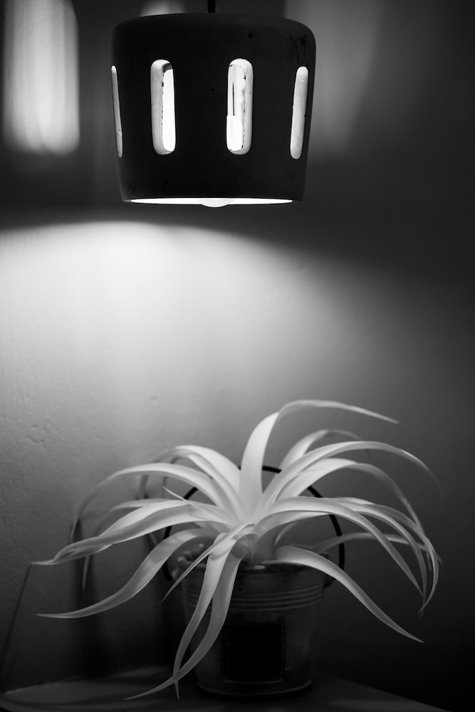 eNPy apartments