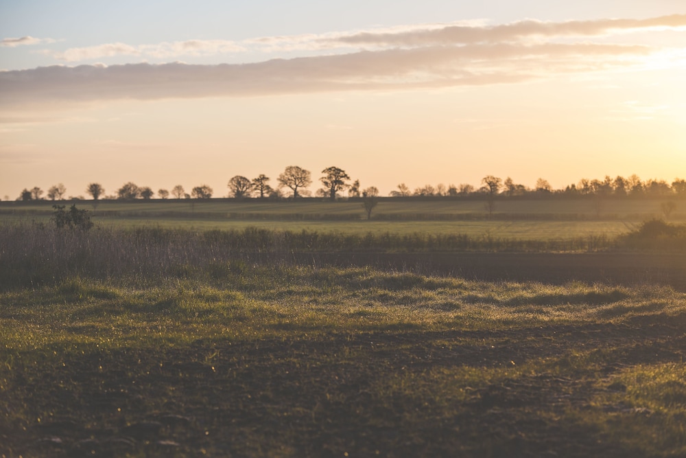 The Haughmond