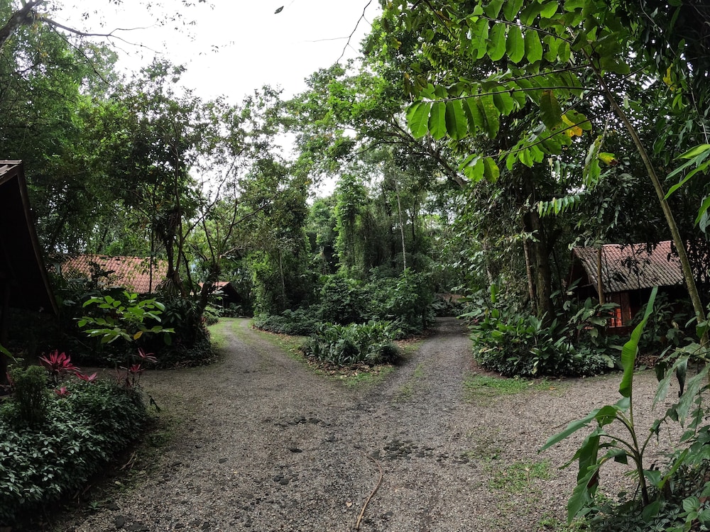 Arenal Oasis