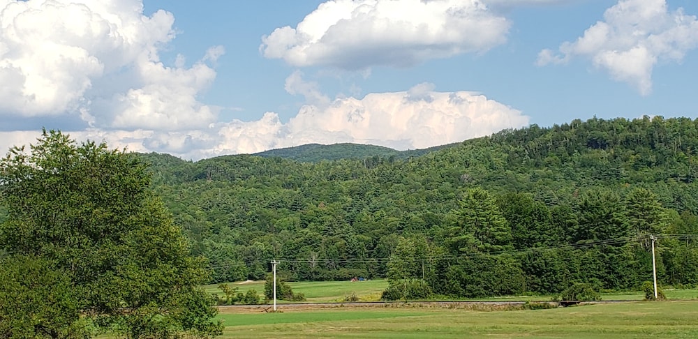 Black Bear Lodge