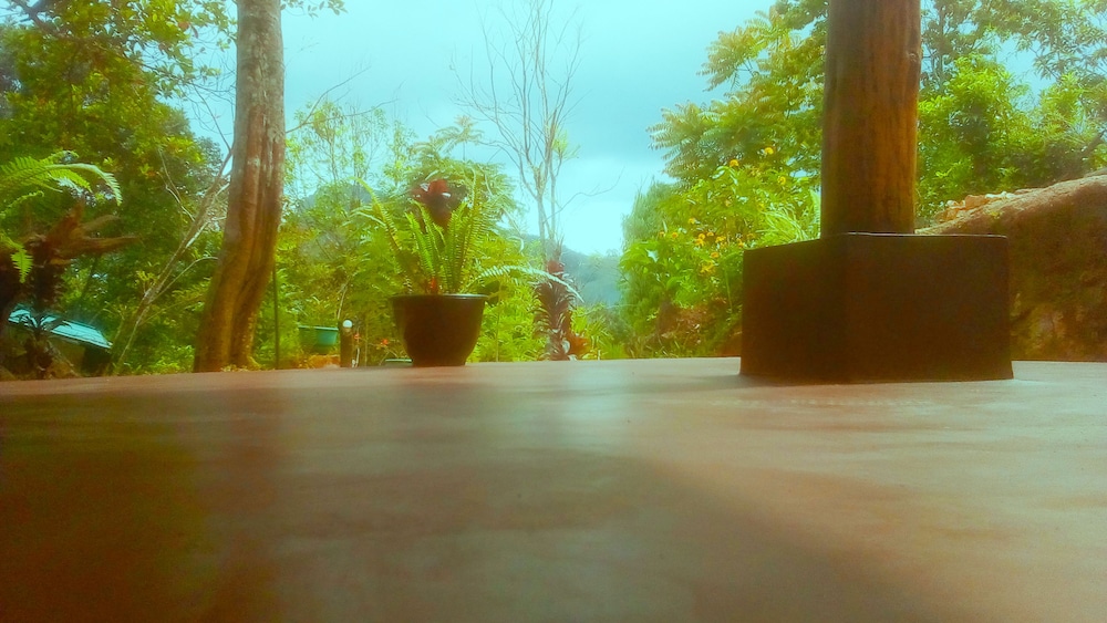 Walkers Nest