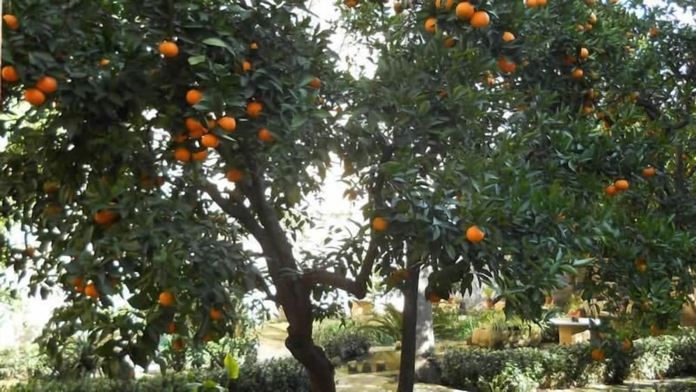 L'Orangerie d'Epoque