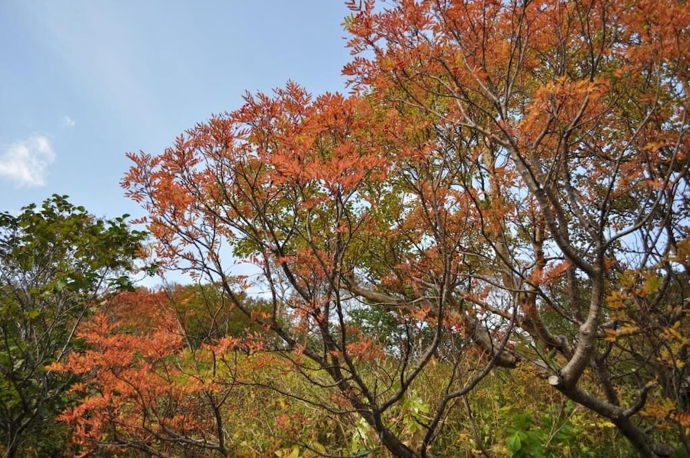 Yumoto Ginsenkaku