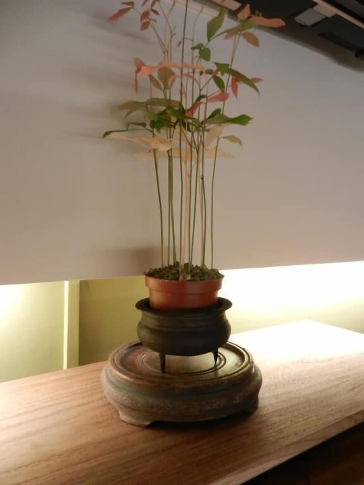 Photo 24