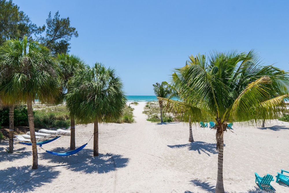 The Molloy - A Boutique Beach Resort