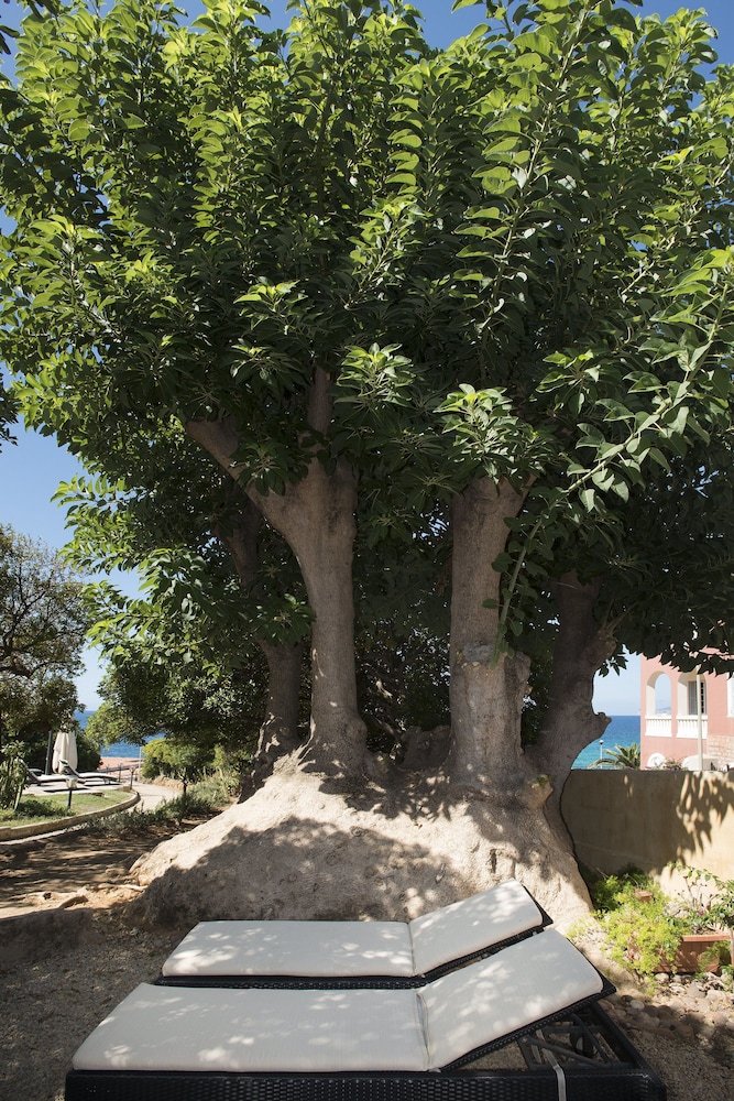 Photo 43