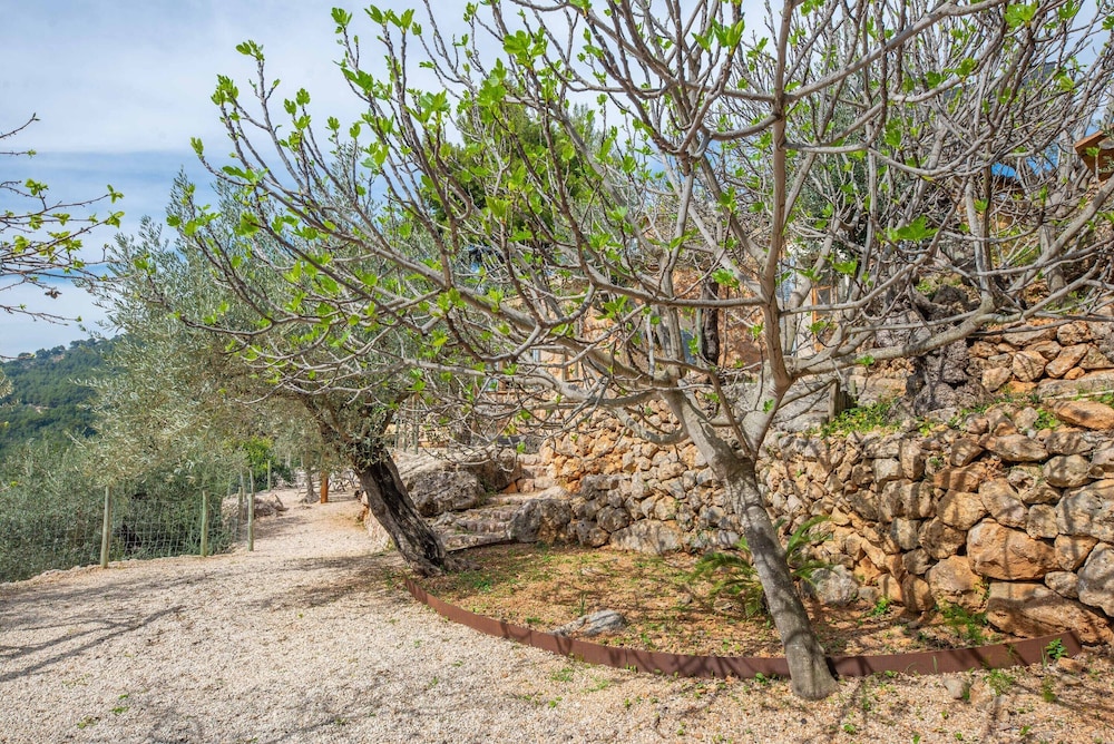 Els Abats - Villa With Private Pool In Fornalutx