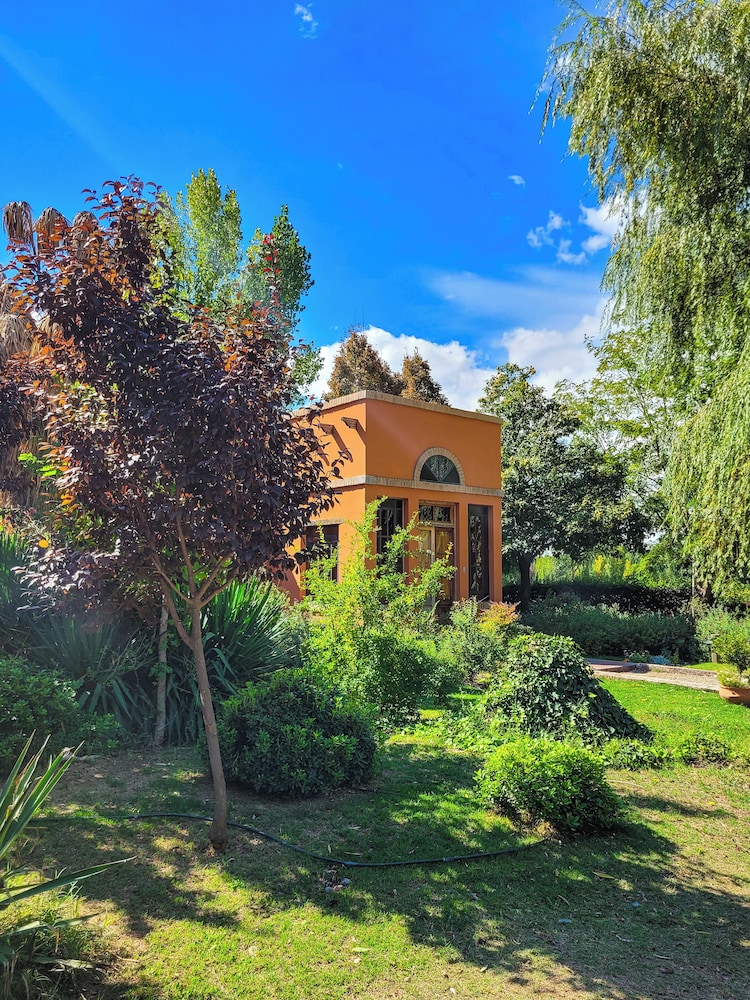 Finca La Saucina