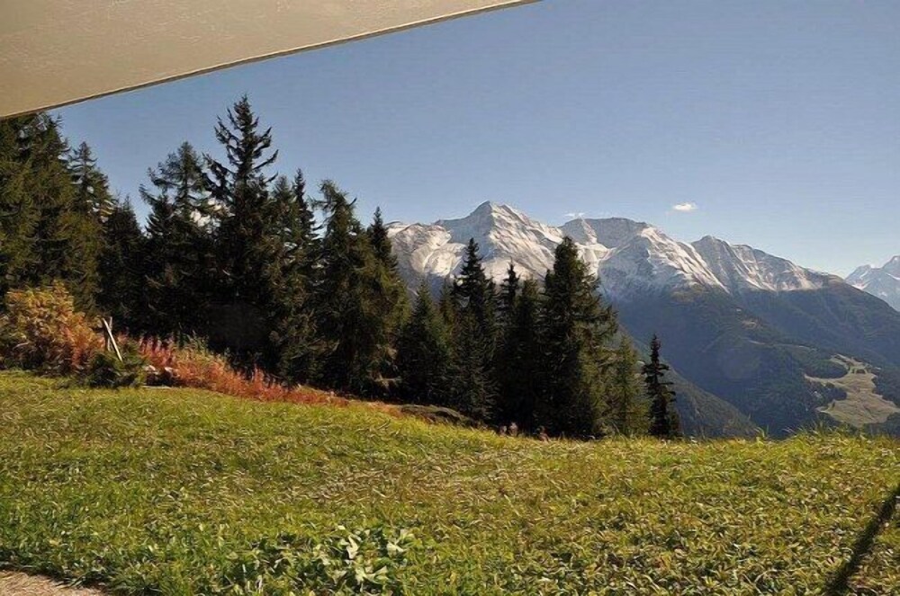 Toggi EG view 4