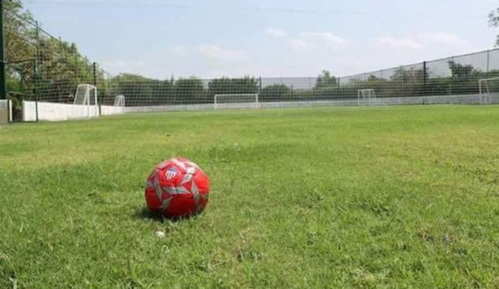 Photo 23