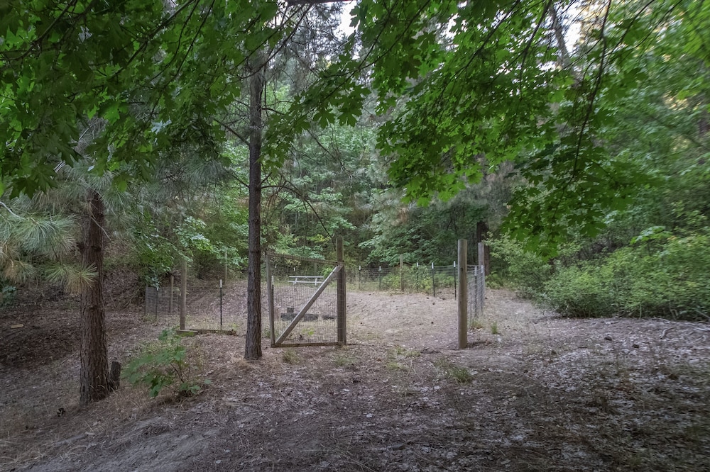 Photo 29