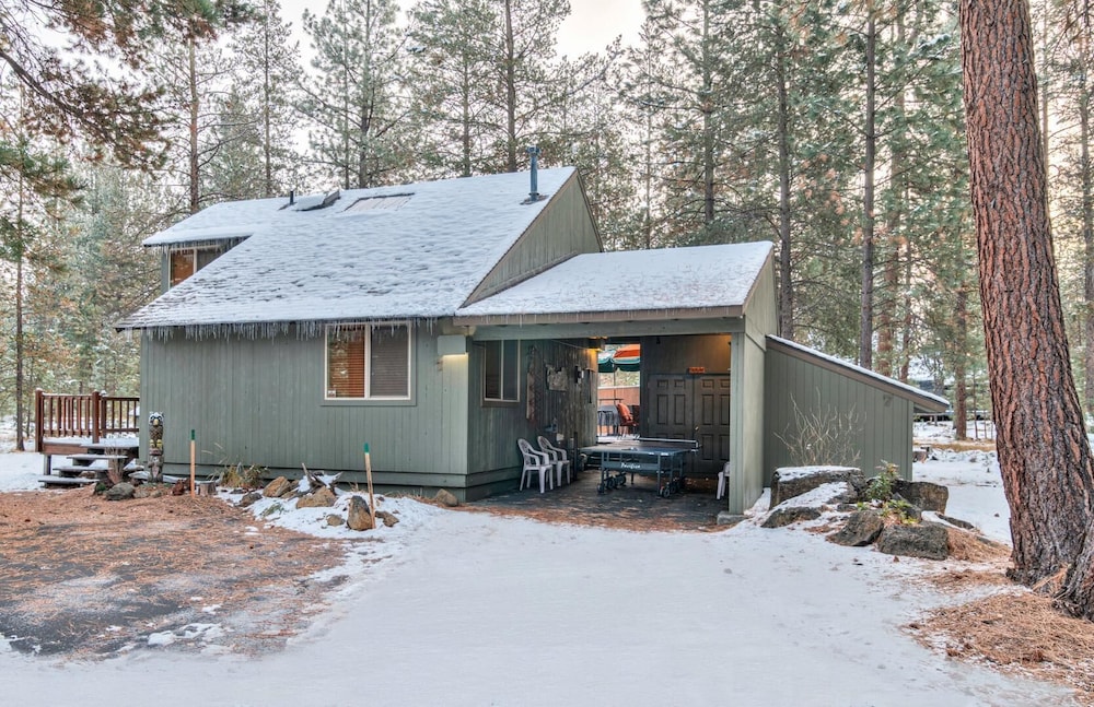 Pine Needle Lane 7