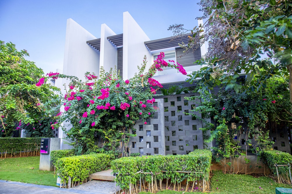Photo 40