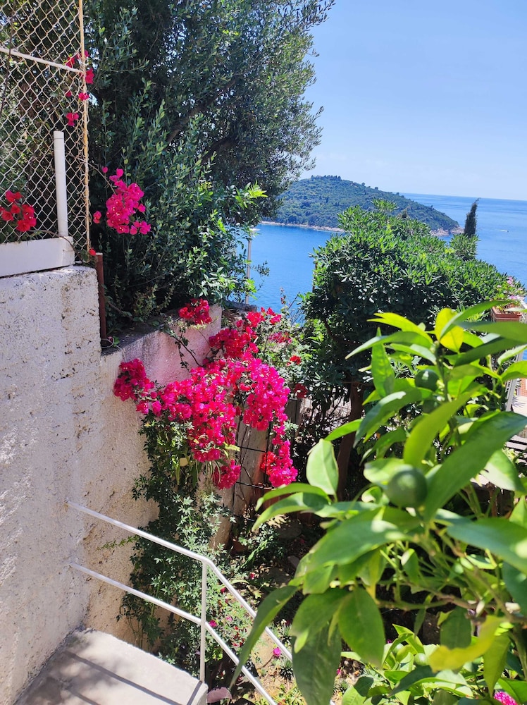 Apartment Agneza
