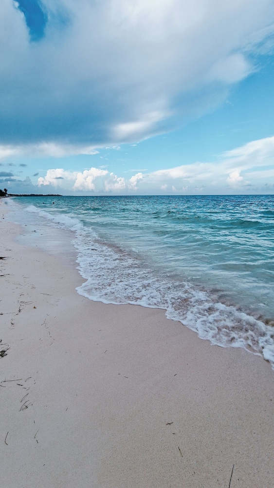 NEW Stunning Beachfront Condo at the Coral Beach