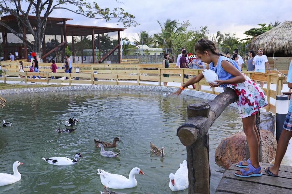 Ocean Village 93