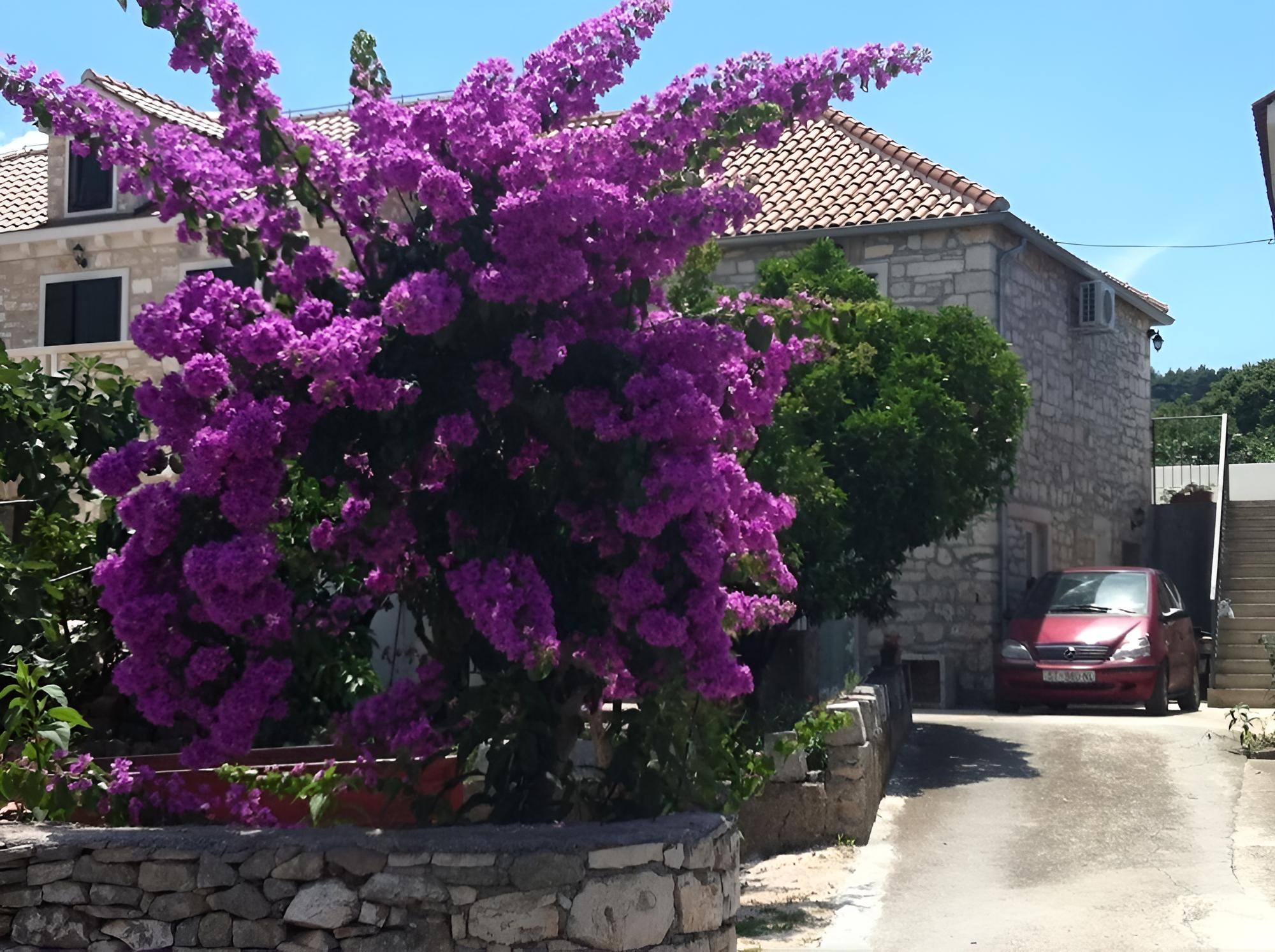 Siniša - 300 m From Beach - A1