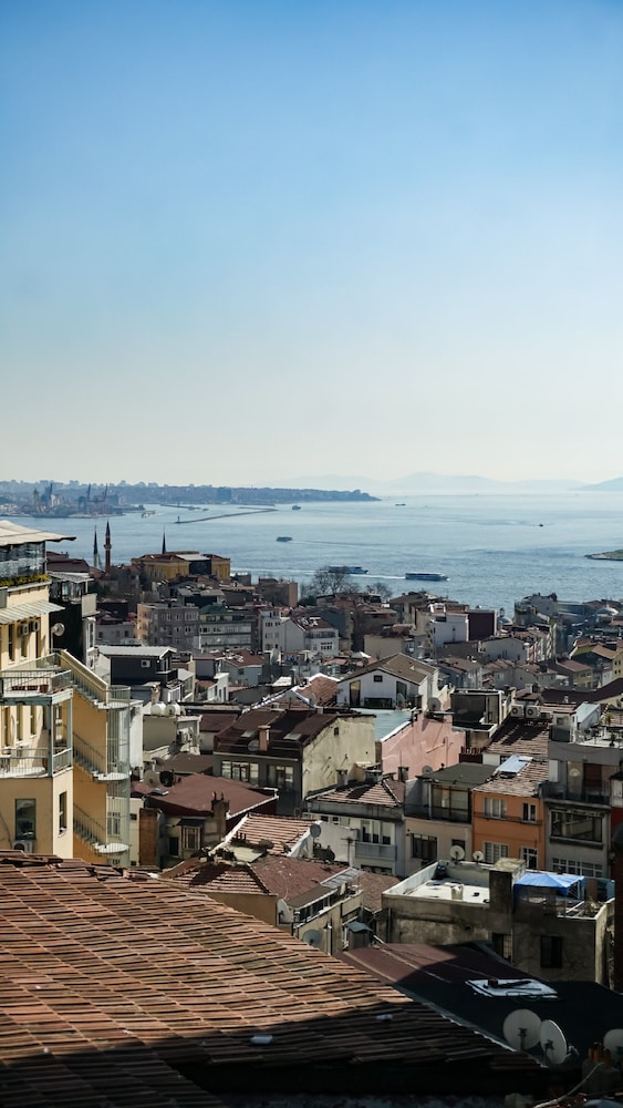 Maroon Tomtom - Image 14