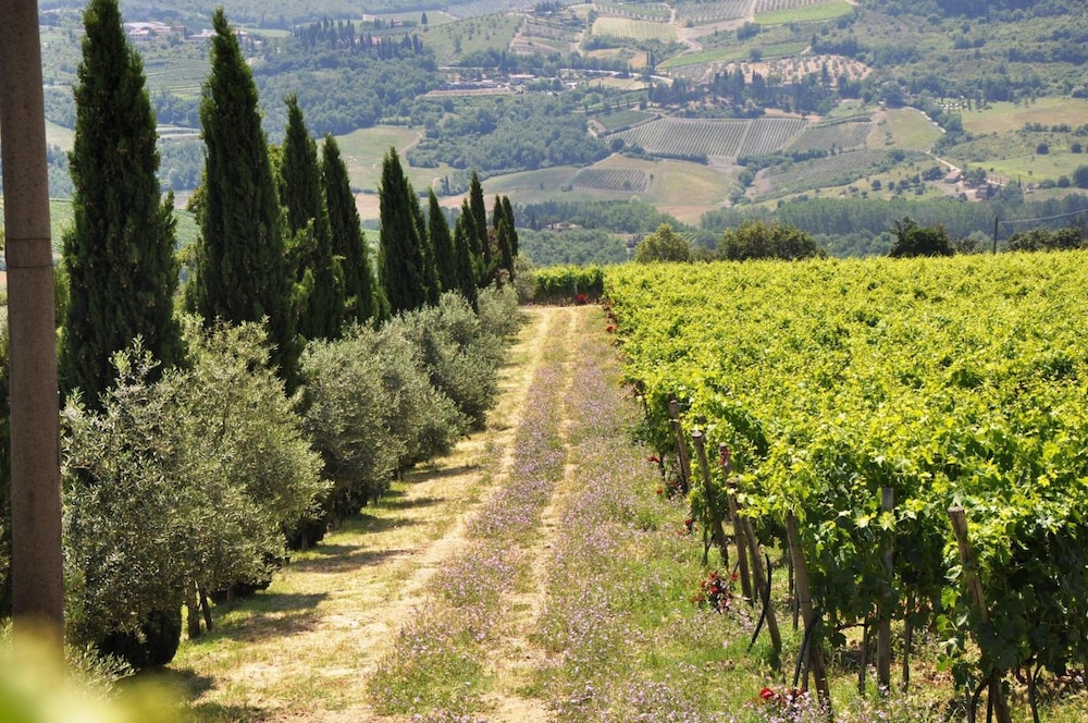 Borgo Castelvecchi