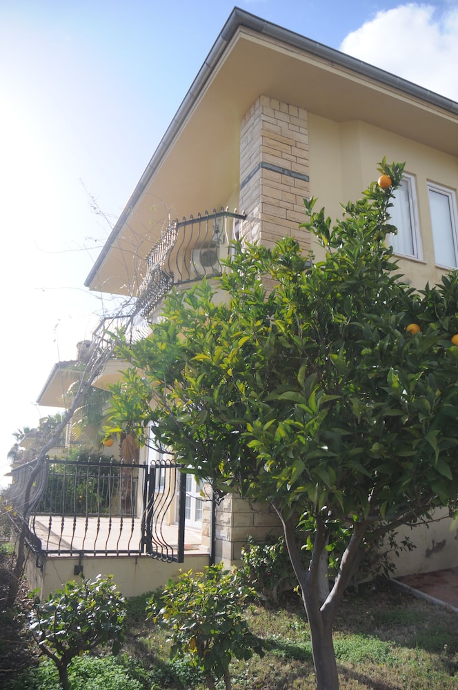 Photo 22