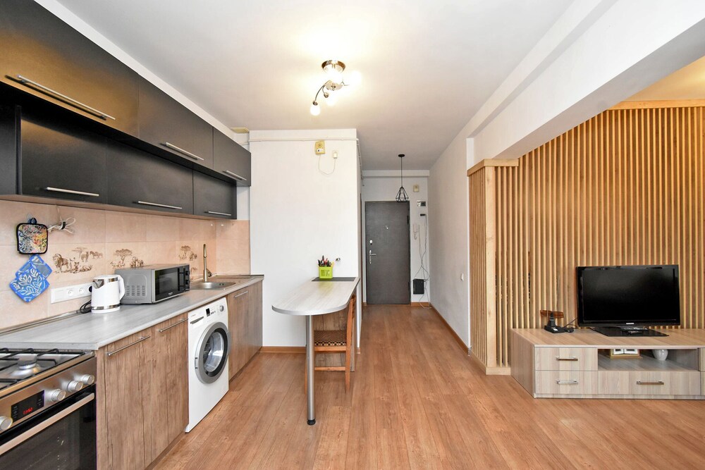 Sunny apartment on Pushkin street